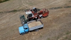 Կառավարությունը կսուբսիդավորի մինչև 100 հեկտար գարնանացան անողներին, եթե հավաստագրված սերմացու ցանեն, ֆերմերները դժգոհում են