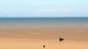 25 турбин ветровой электростанции Burbo Bank Offshore Wind Farm в Ливерпульском заливе способны обеспечить электроэнергией до 80 тысяч домохозяйств.