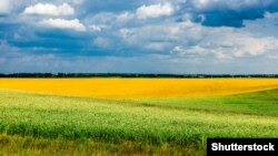 (©Shutterstock)