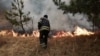 Пожежник гасить вогонь всередині 30-кілометрової зони довкола Чорнобильської АЕС, квітень 2020 року