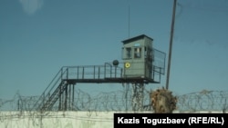 Смотровая вышка у стен колонии в Заречном