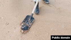 Иллюстративное фото
