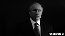 Rusiye prezidenti Vladimir Putin 