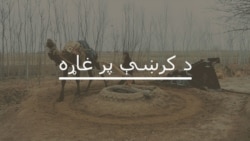 د کرښې پر غاړه: ماشومان څنګه خوندي کړو؟